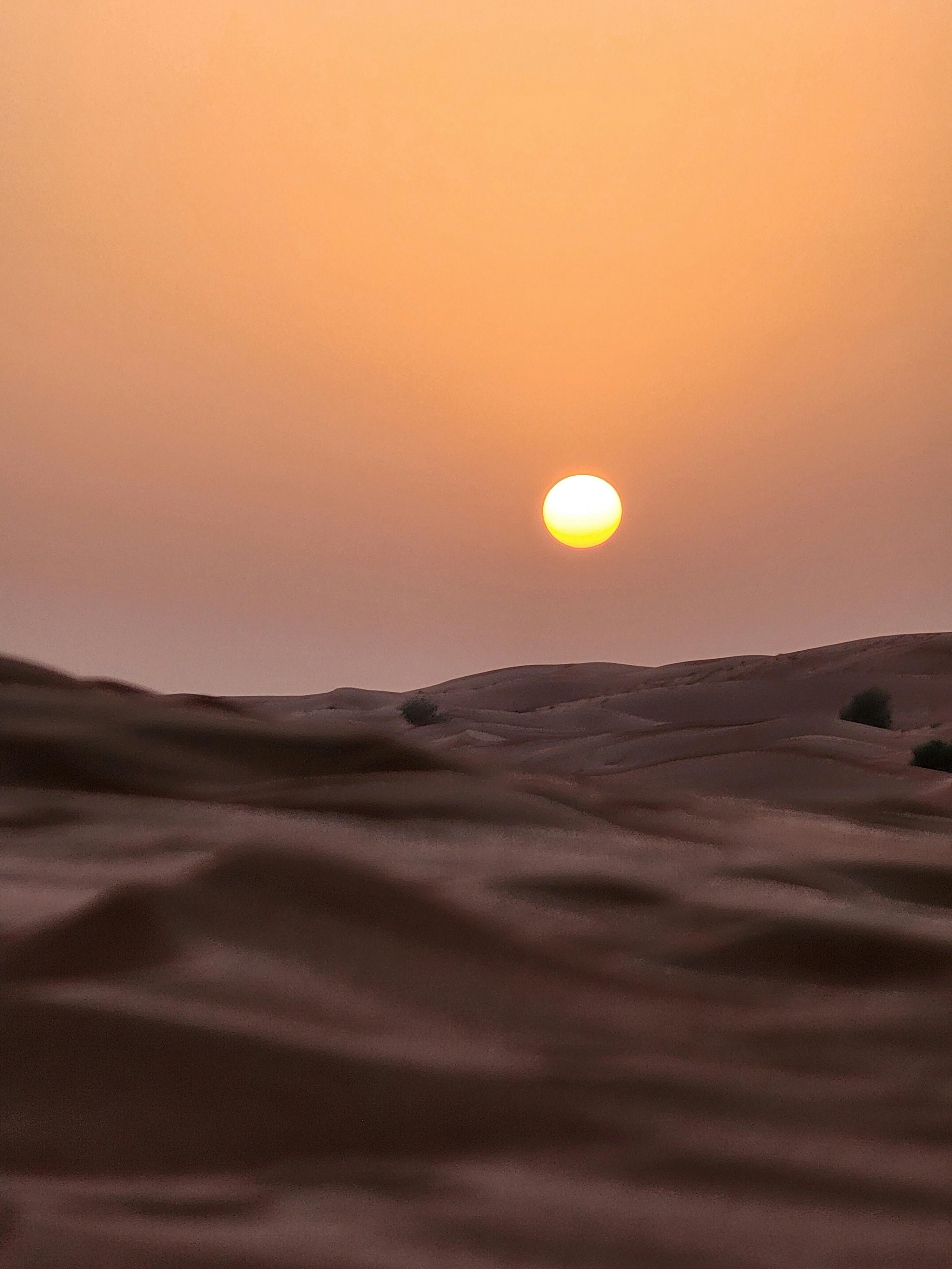 Flamenco, tapas și tradiții care dau ritm vieții de zi cu zi