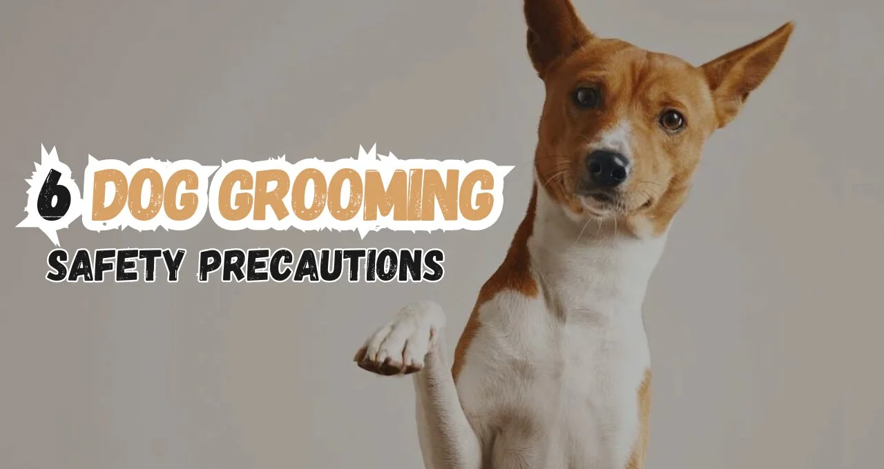 Dog Grooming Safety Precautions