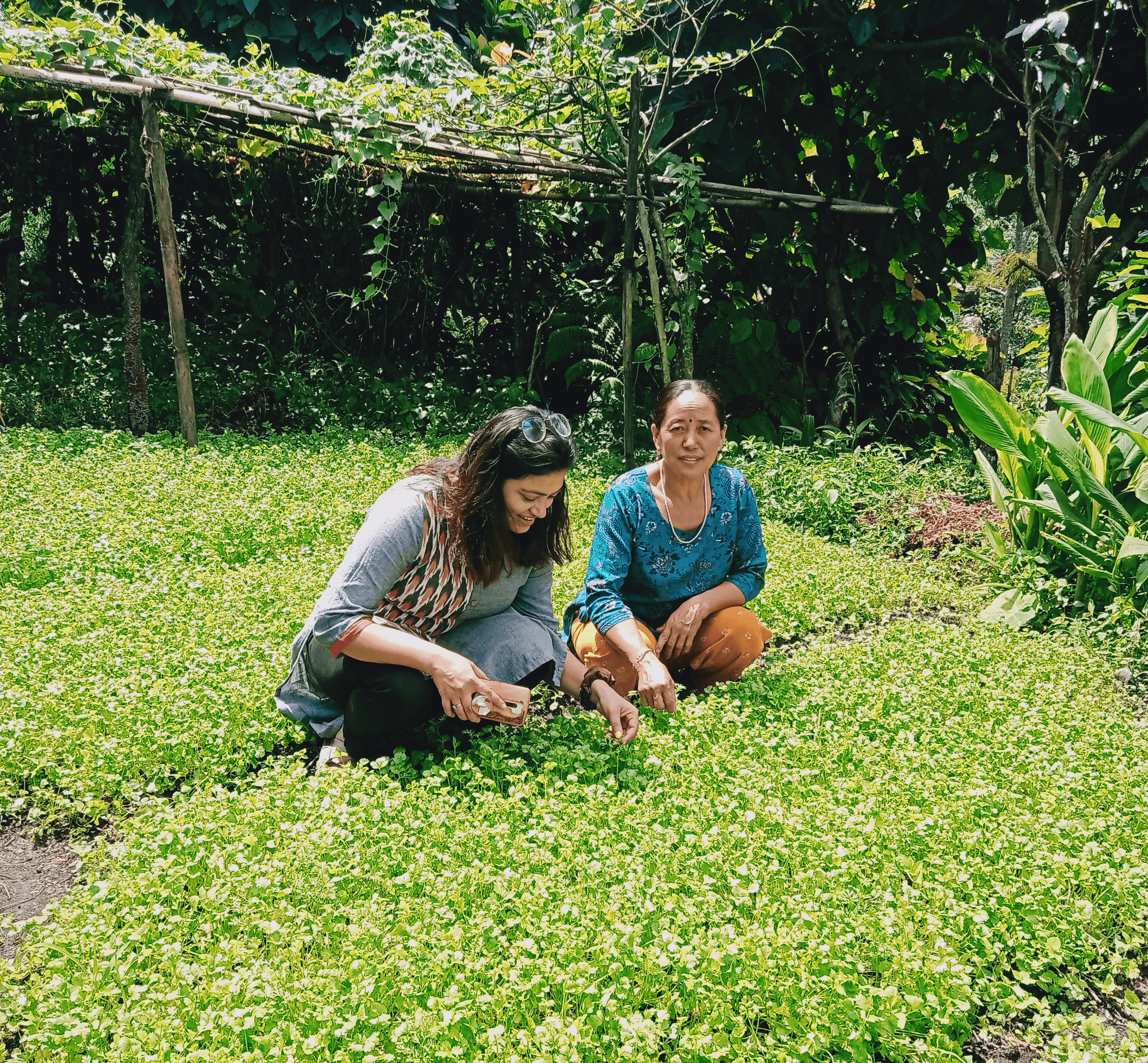 Sample image from a project