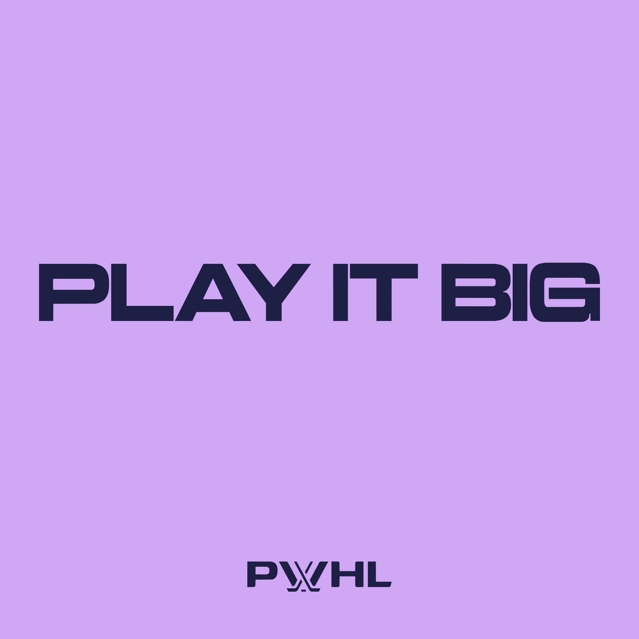 Dom Pérignon vineyards from the sky