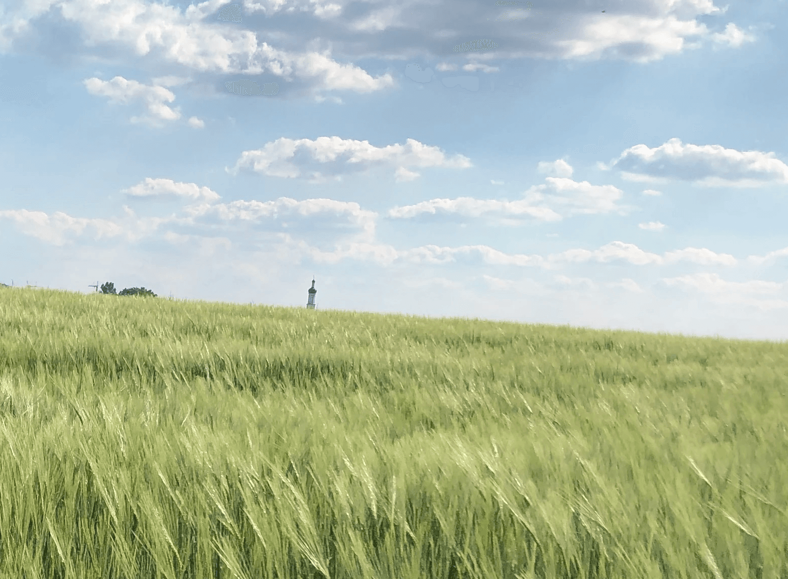 Kirchturm in der ferne