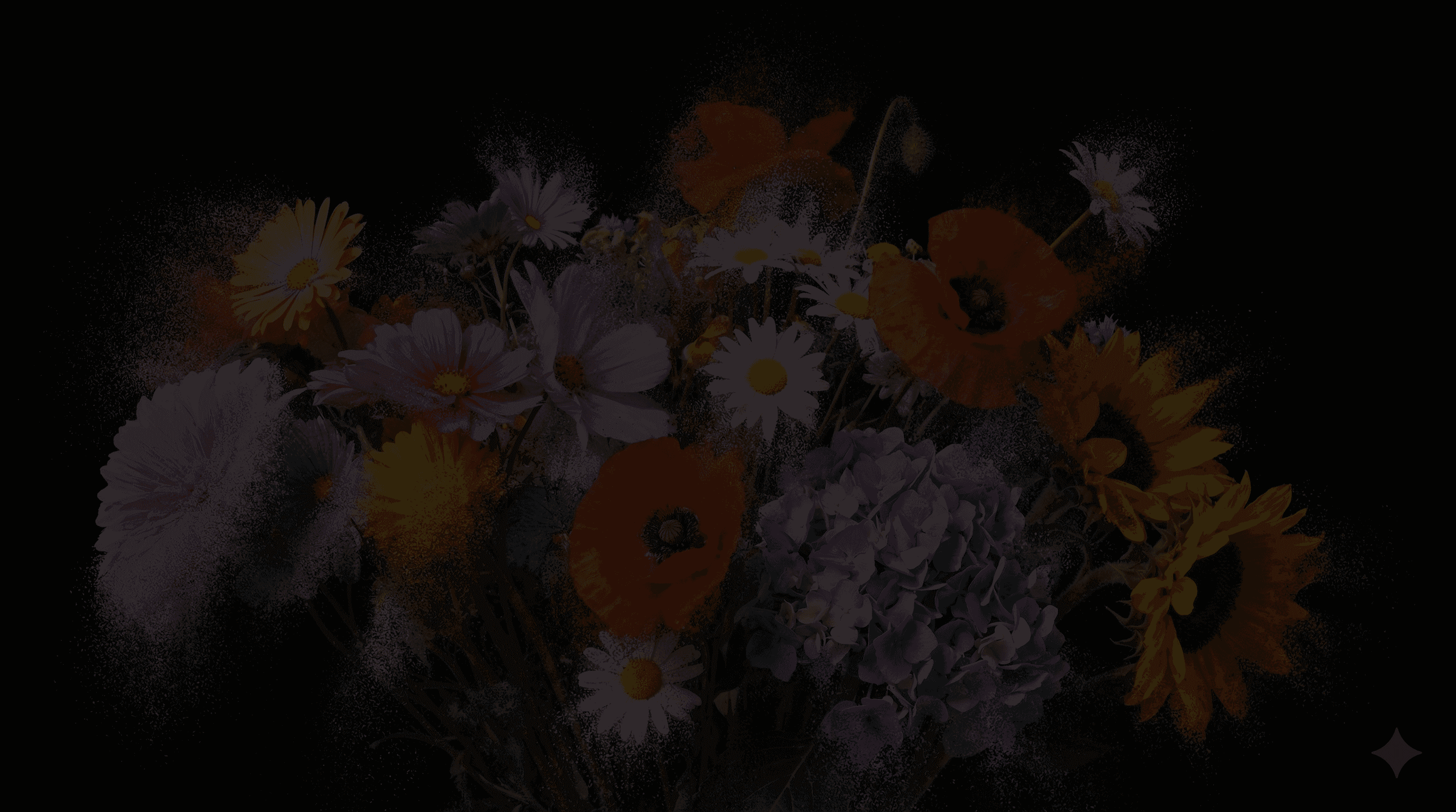 white flower in black background