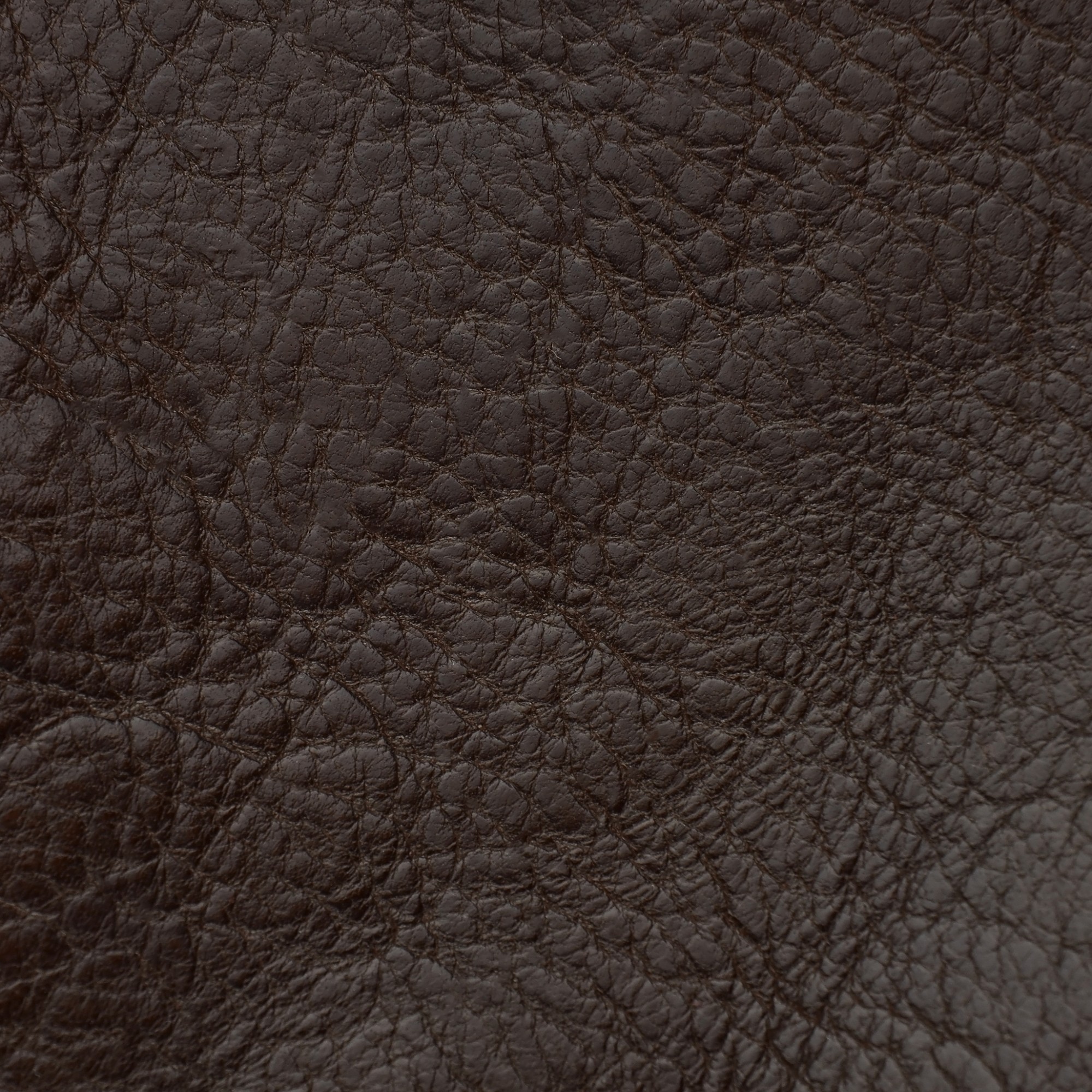 Aged leather background with a stitched border and brass studs