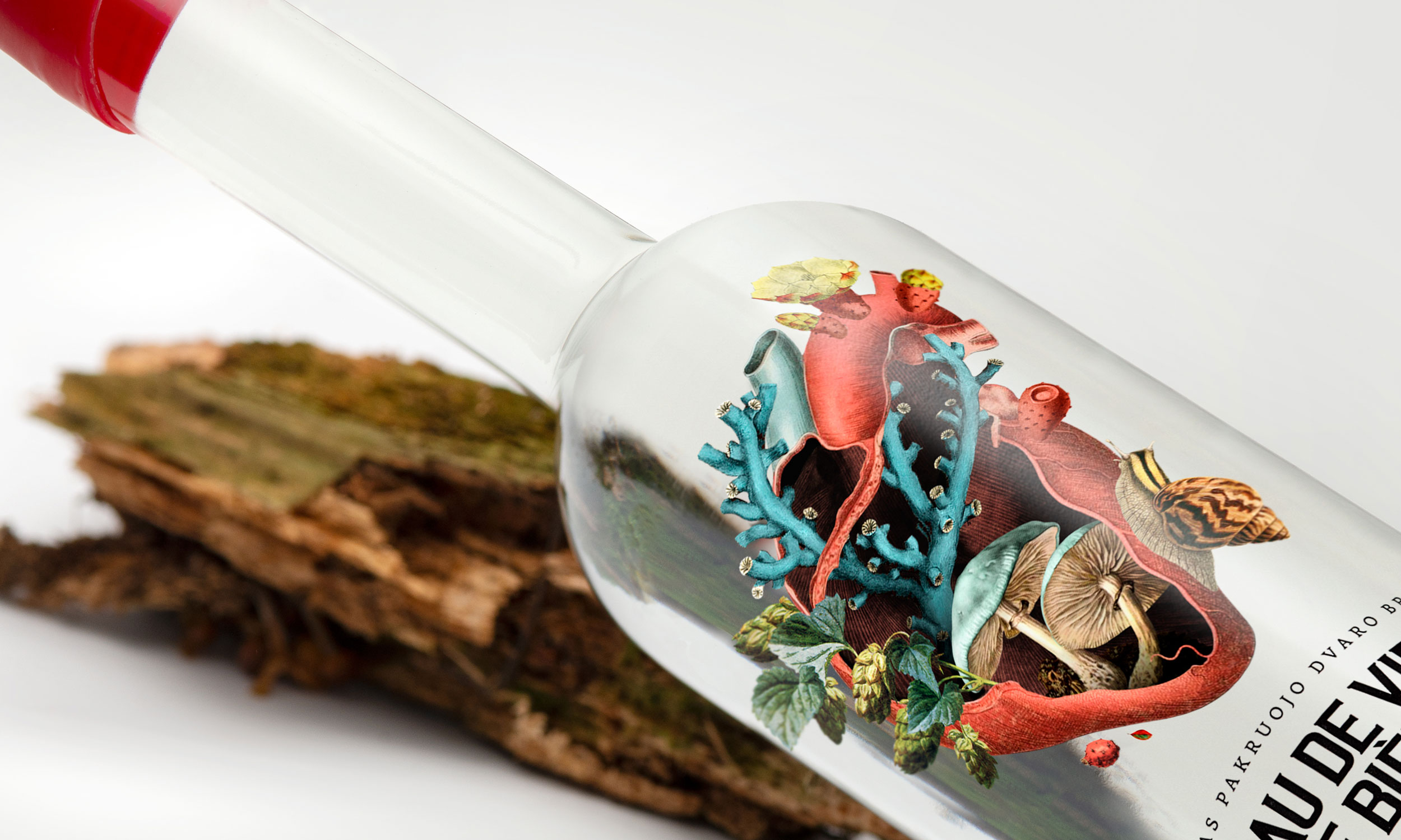 Premium spirit bottle showcasing refined label composition