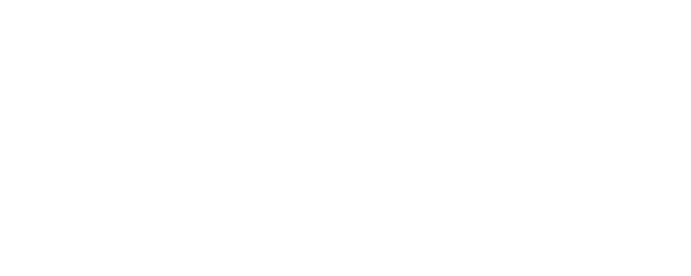 STORMAUDIO logo