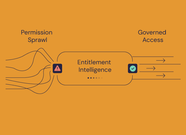 Entitlement Intelligence in IAM