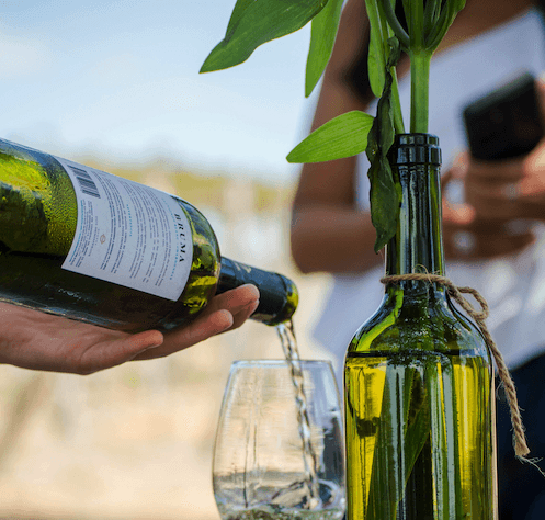 Green sustainable wine