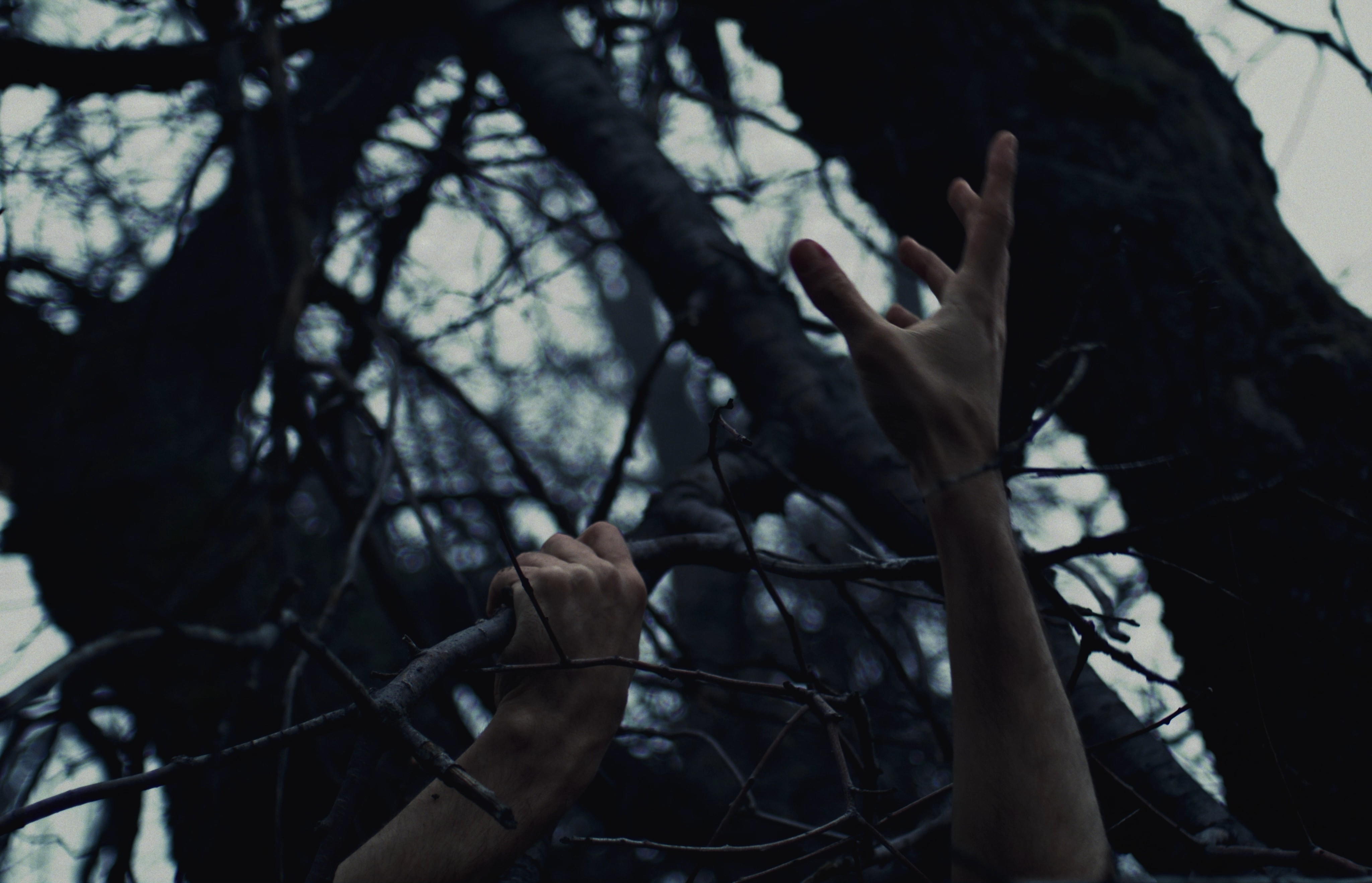 Still from The Portrait of a Lost Soul, a short film by Marco Palomino (2024).