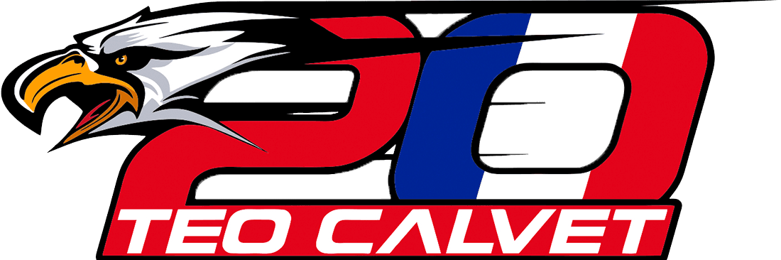 Logo Design Project for a Client