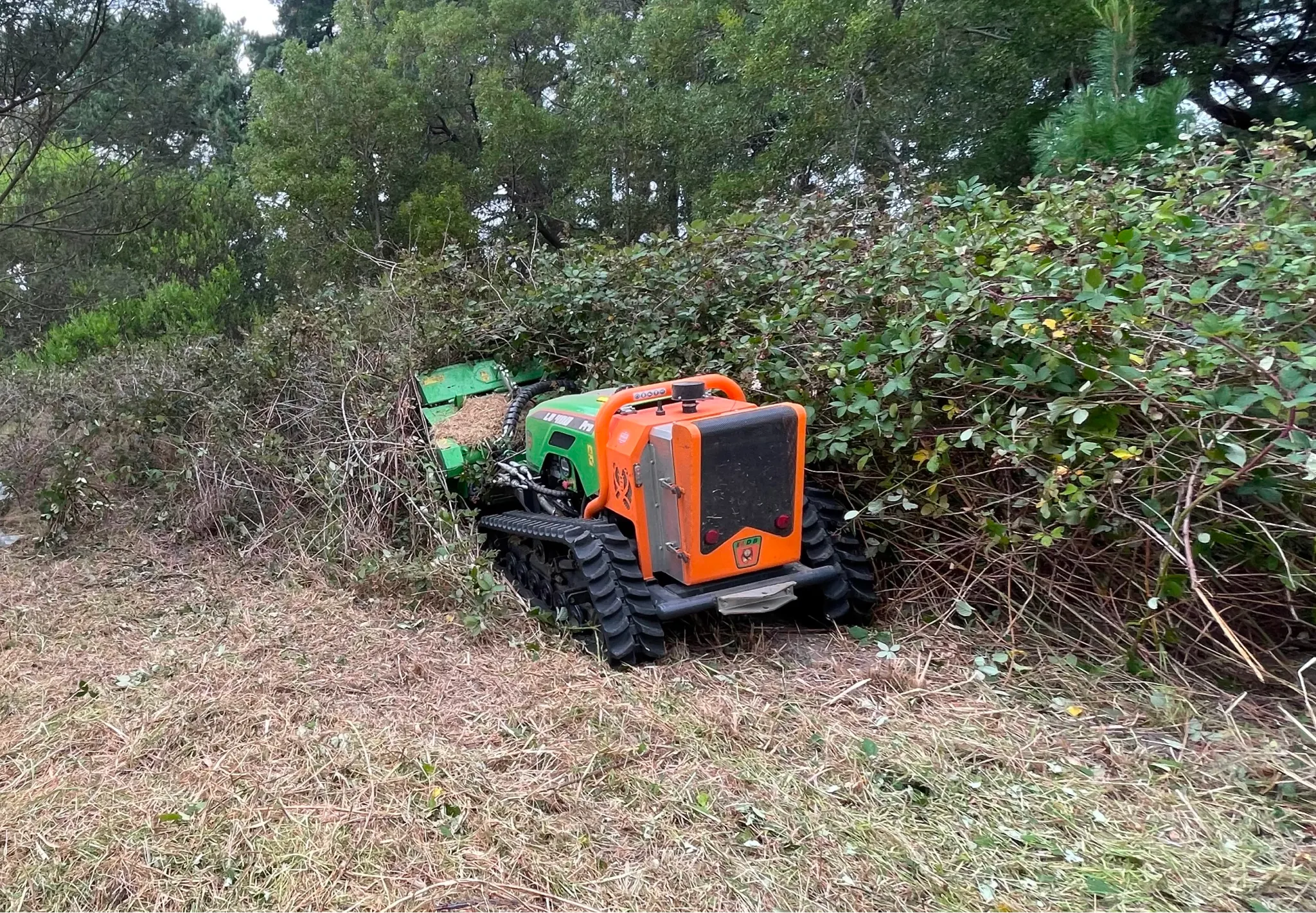 The Green Climber Mowing Lawns