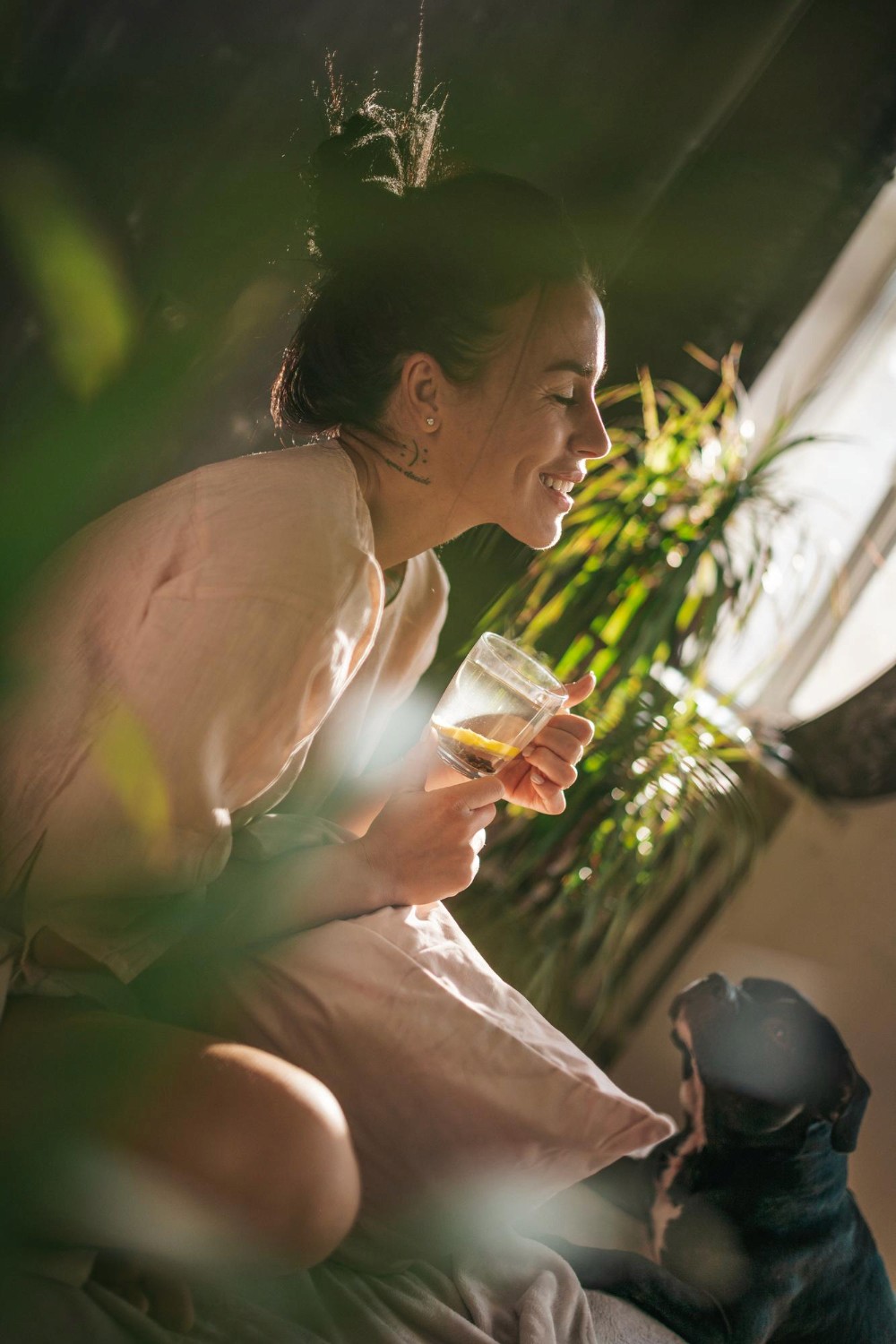 supplements you can trust simple supplement routine