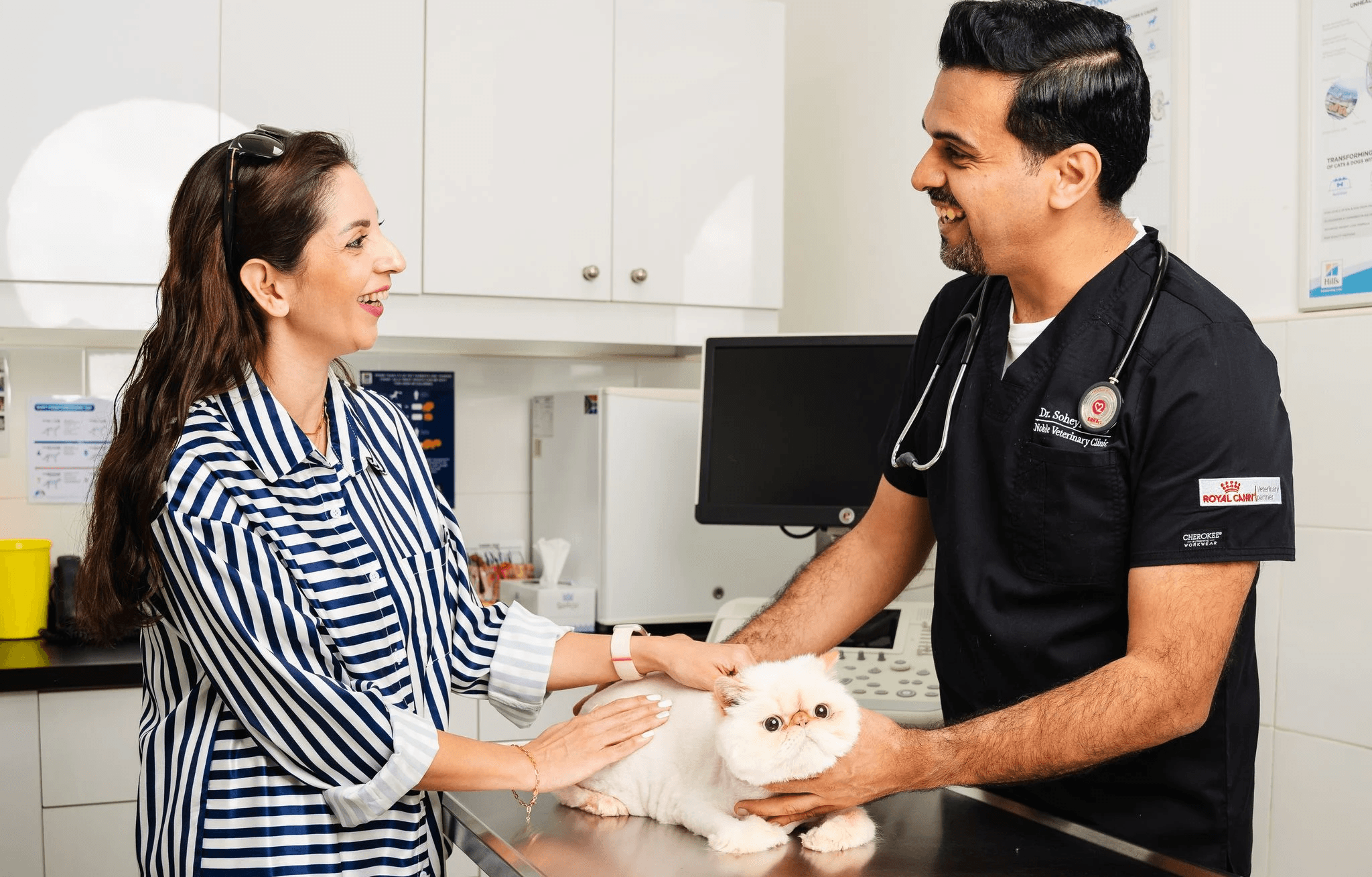 A veterinarian in a black shirt is giving advice to a pet owner on how to bathe her cat.
