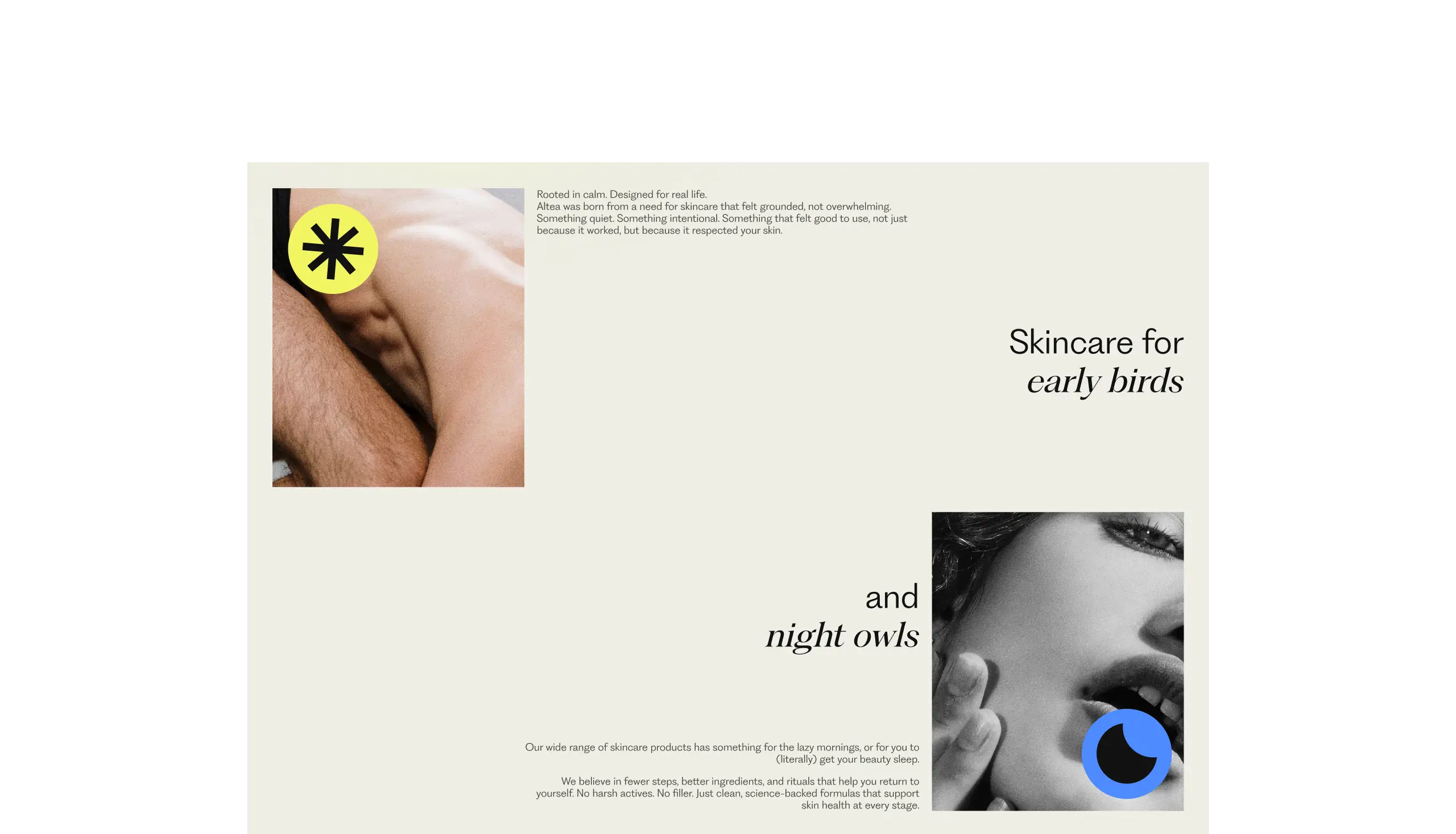 Showcase of an informational section of the homepage on the website.