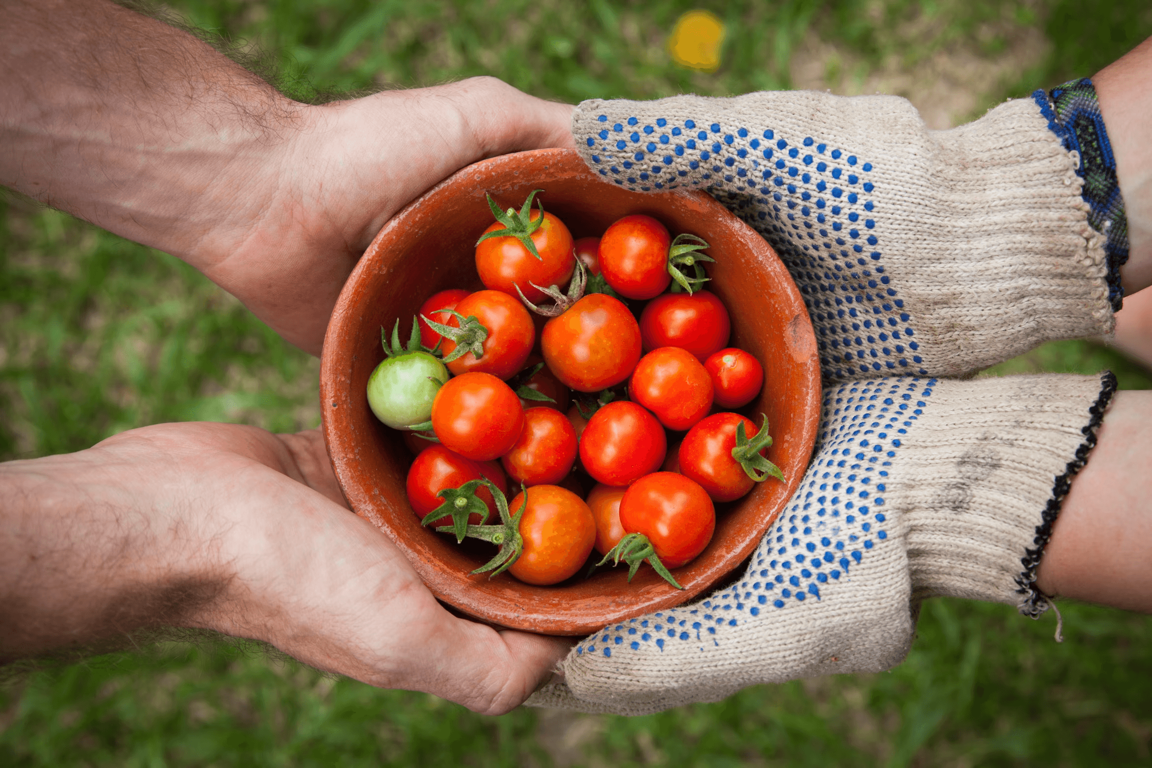 Tell Your Farm's Story: Connect With Customers on a Personal Level