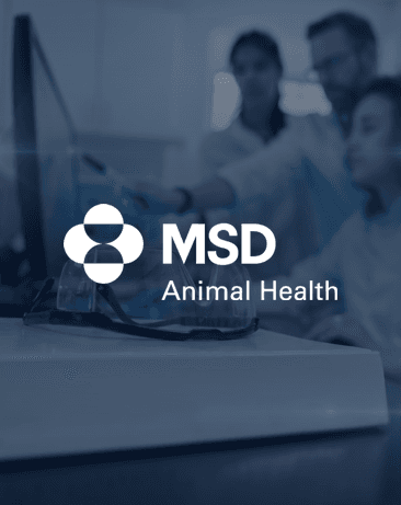 Validation/Engineering Project Specialist
