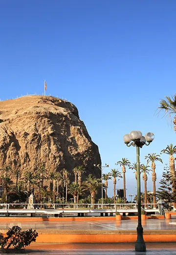 Morro Arica com bandeira no topo, rodeado por área urbana e palmeiras na cidade de Arica, no Chile