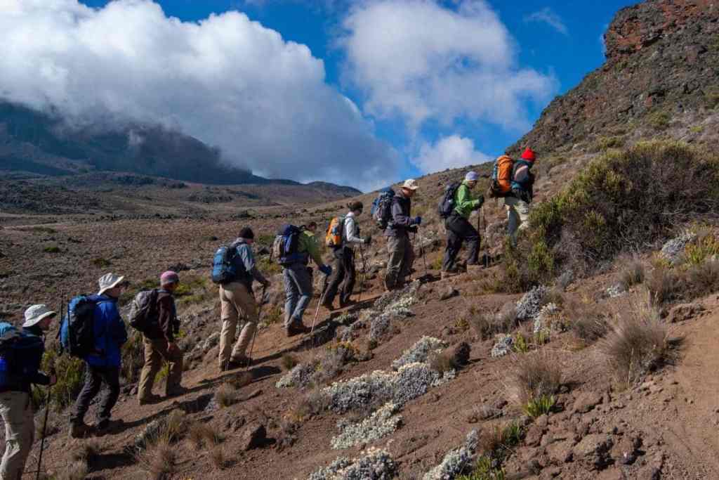 Hikers on Kilimanjaro