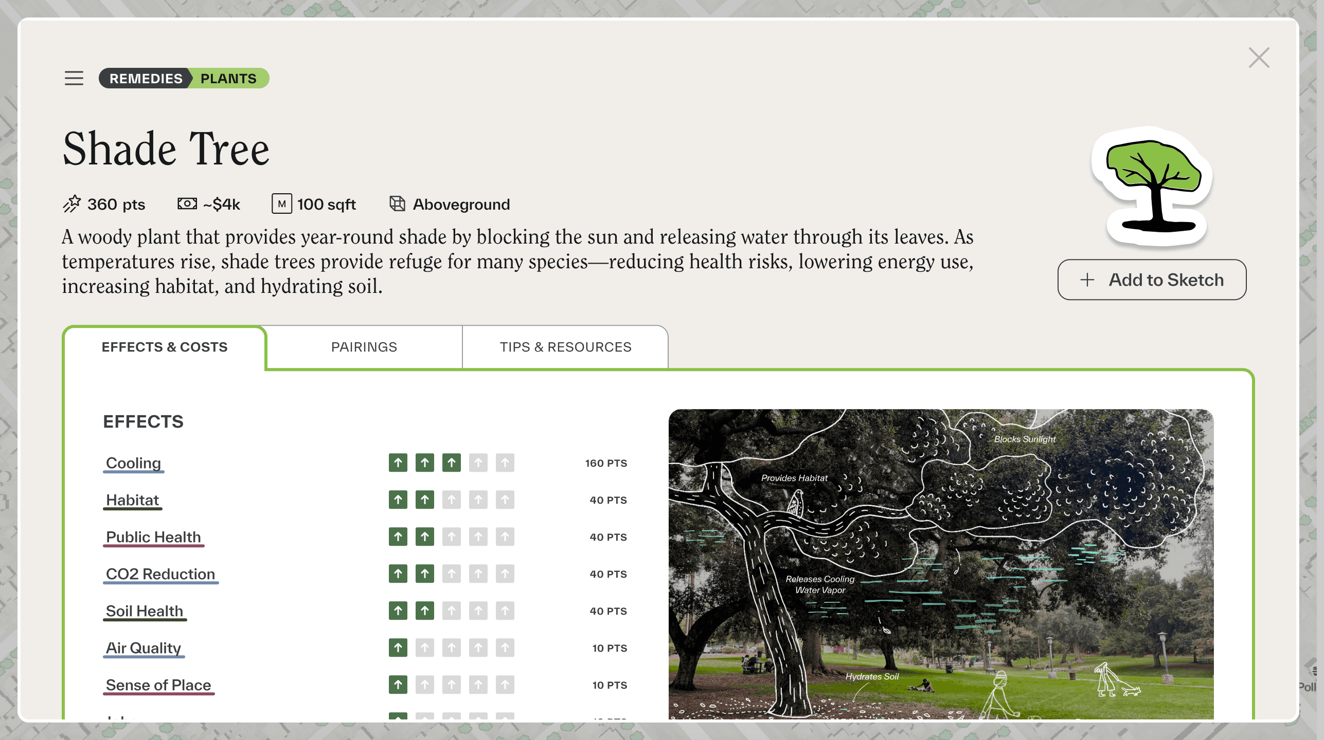 A Field Kit learning resource highlights the multi-benefits — including cooling, public and soil health, CO2 reduction — and estimated costs of incorporating a shade tree into a living infrastructure project.