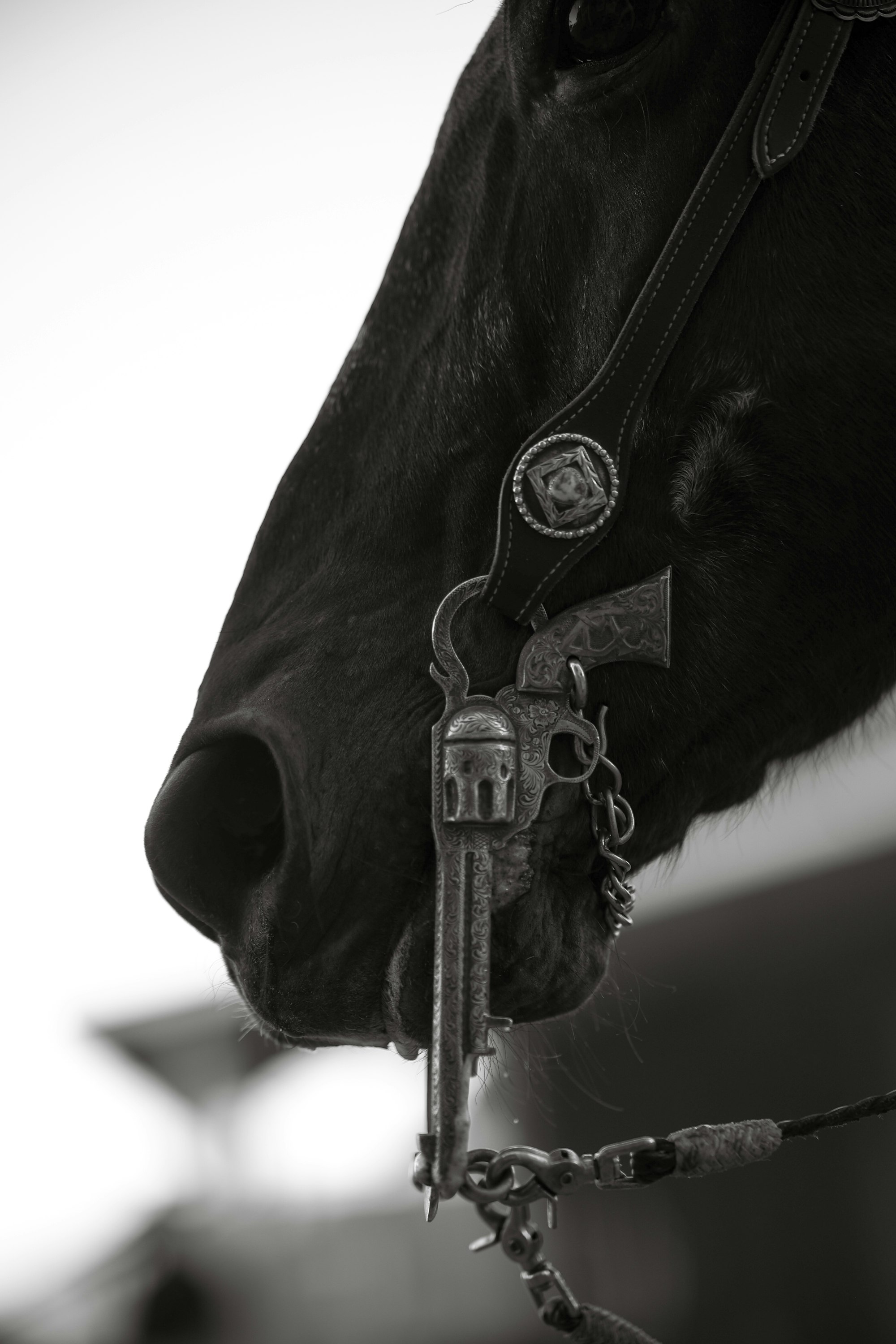 Sentir profundamente