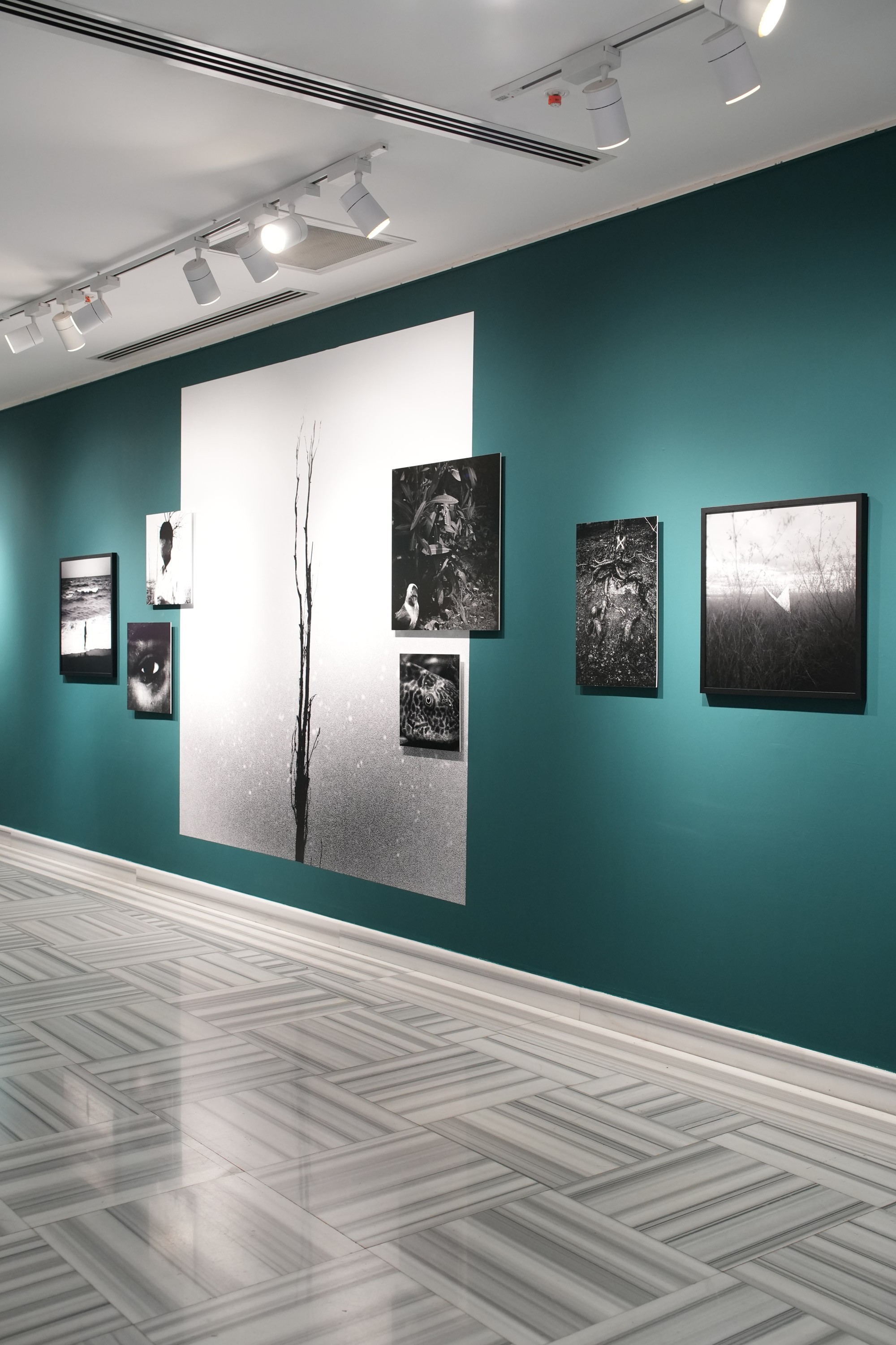 Modern home office setup with a monitor, ergonomic chair, keyboard, and indoor plants near a window with blinds.
