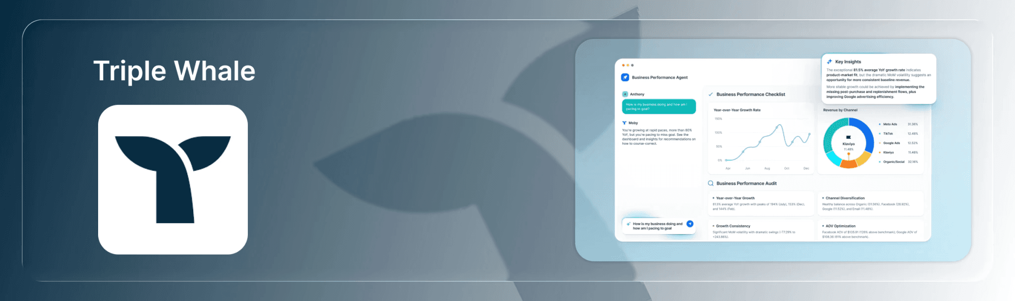 triple Whale Shopify Analytics Tools