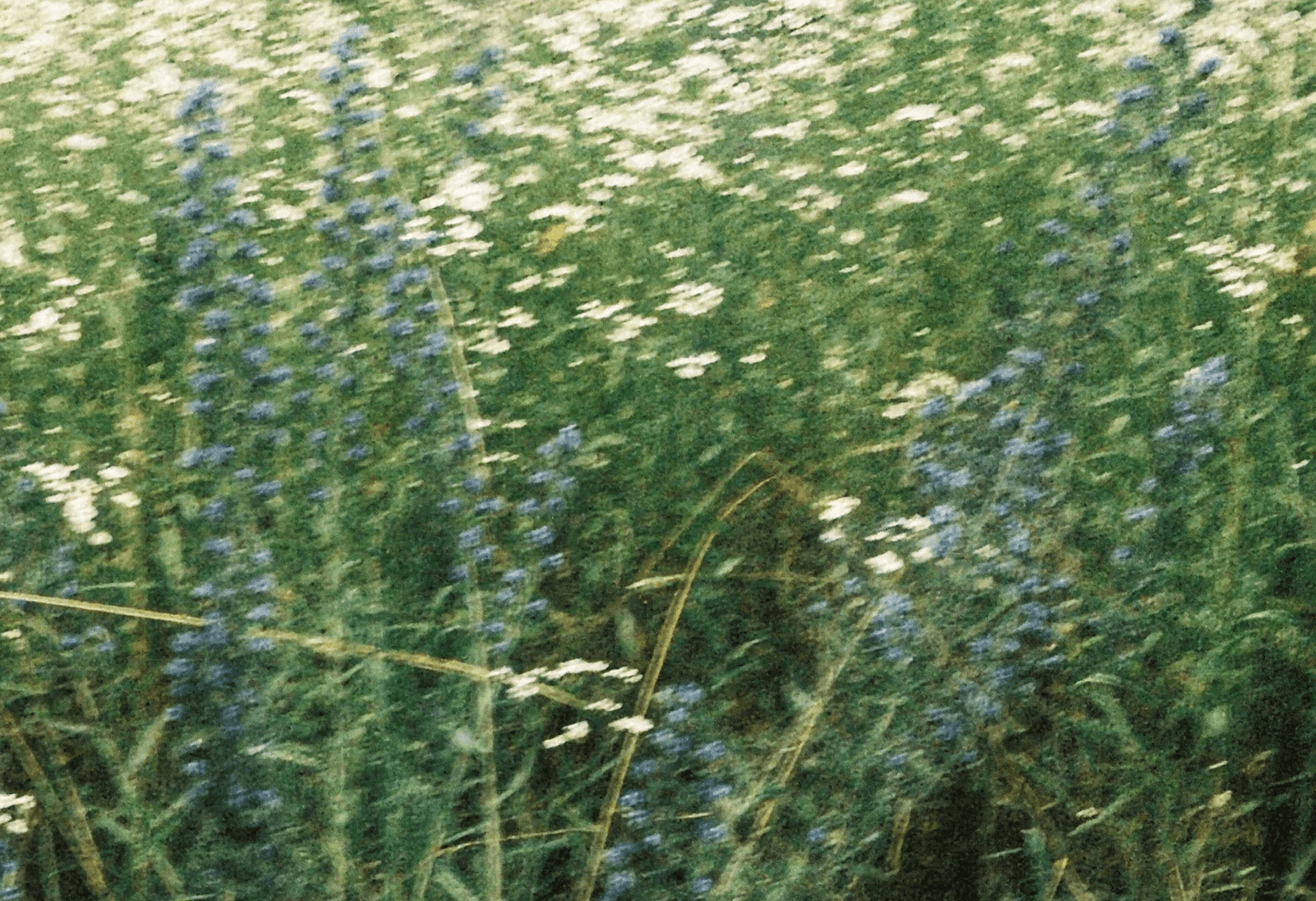 about image 1