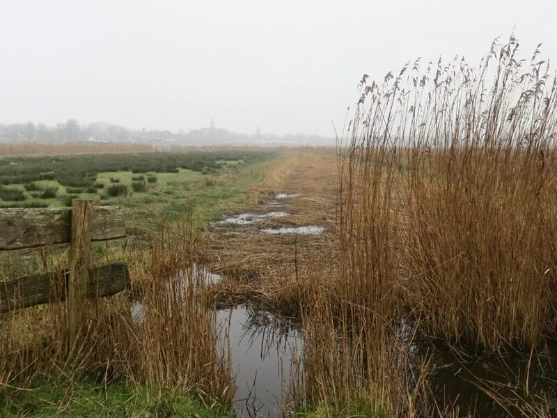 Veenweidegebied