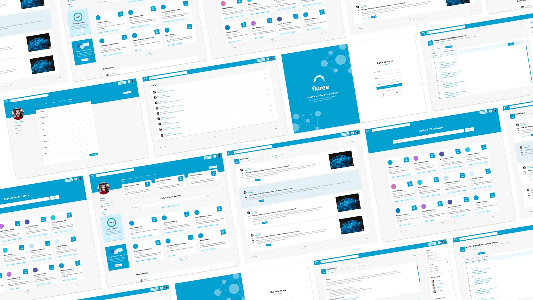 UI screens for the Fluree Nexus web app