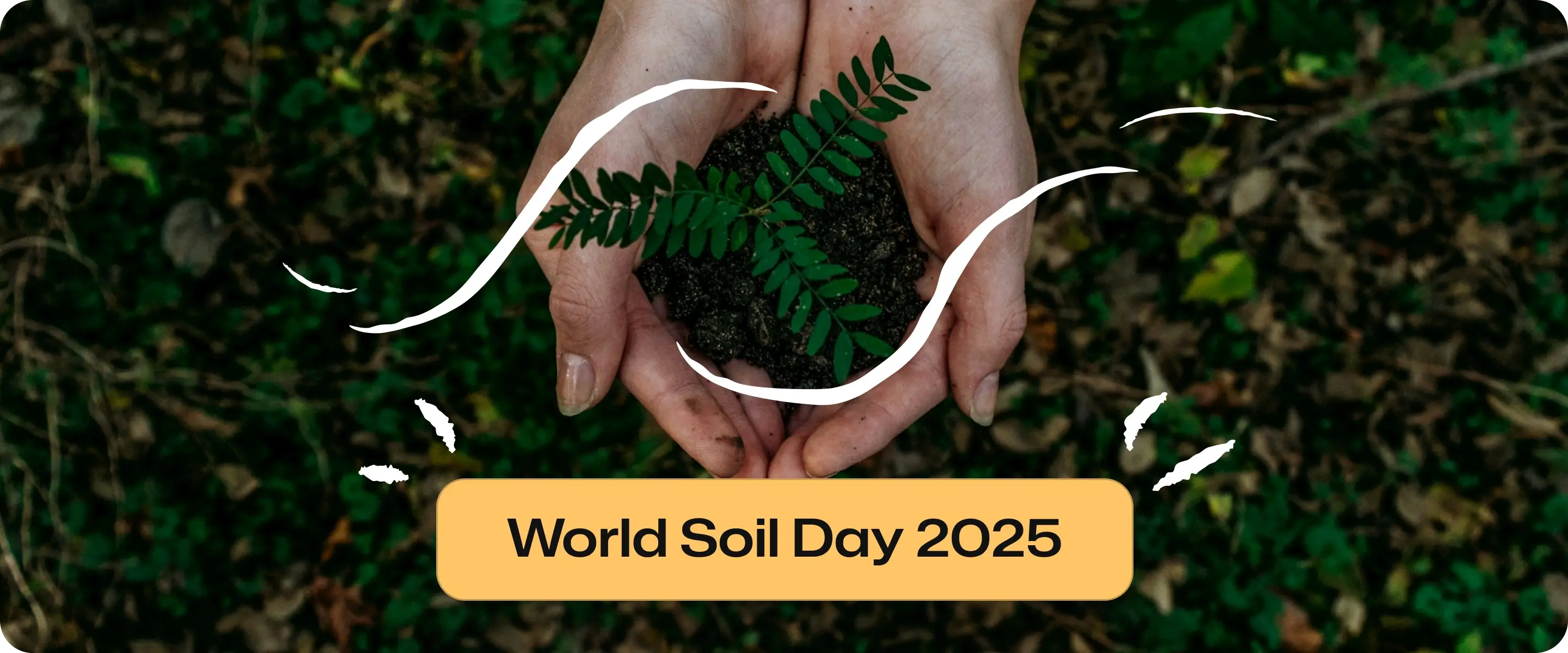 World Soil Day 2025