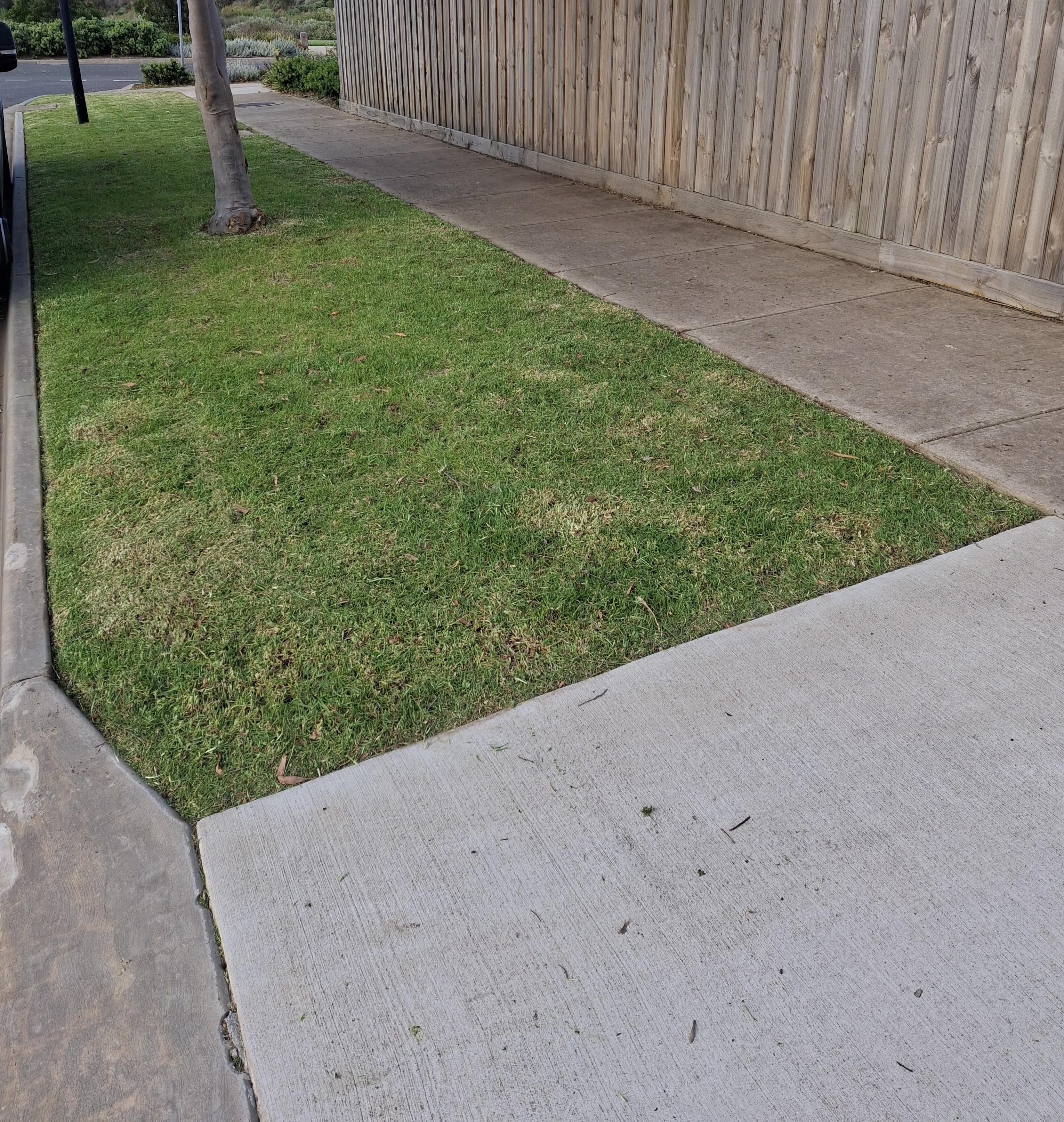 Dazzle Logo with sign vertical