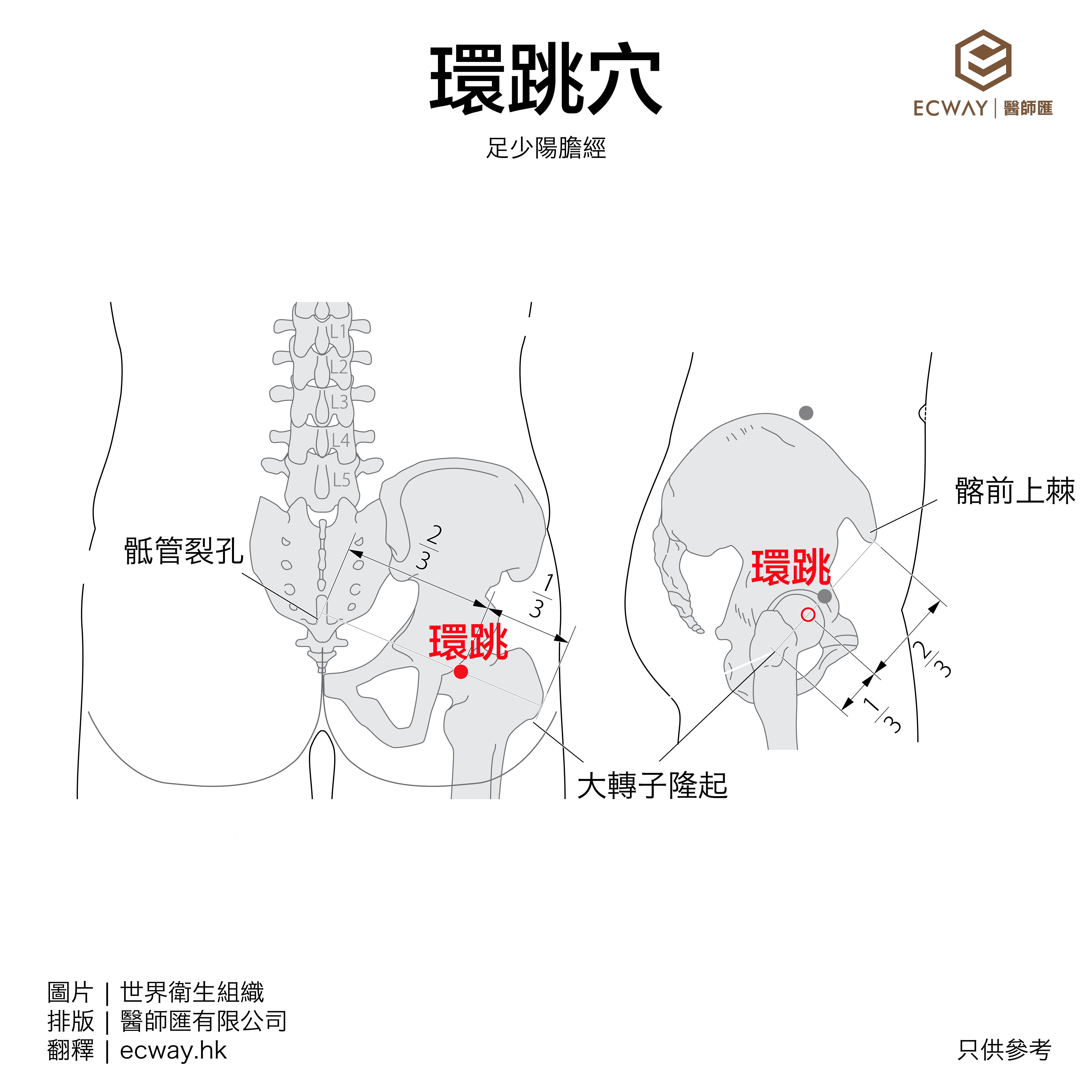 環跳穴