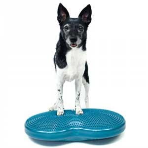 FitPaws Duo Disc