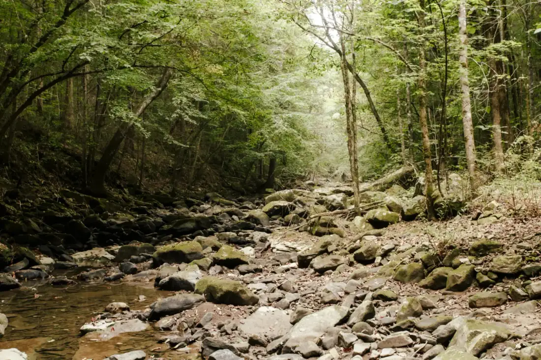 Creek