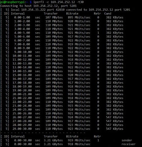 iPerf3 output over the 11-meter pair: 919 Mbits/s sustained