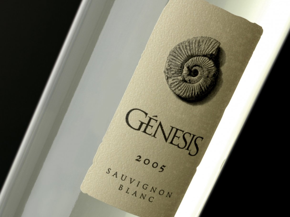 Rooftops of a coastal town with the sea in background