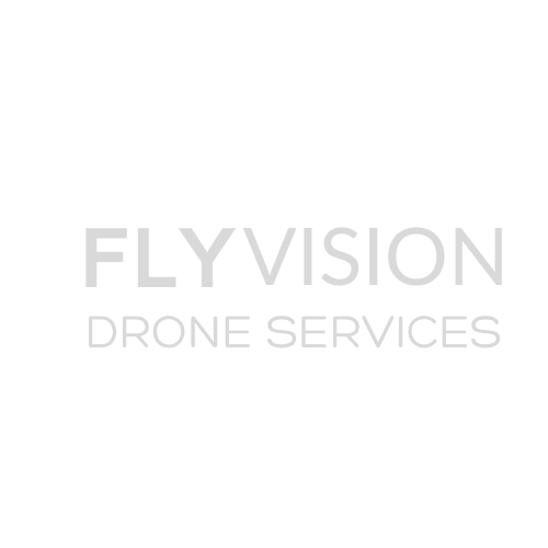 Fly vision