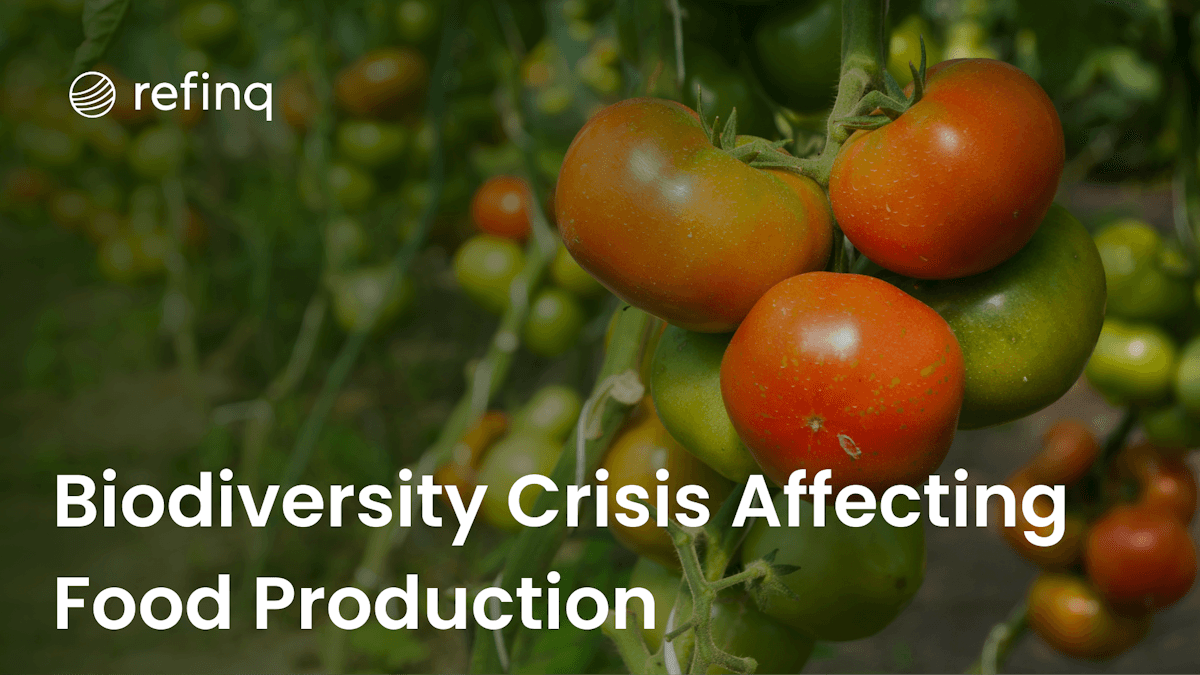 Biodiversity crisis
