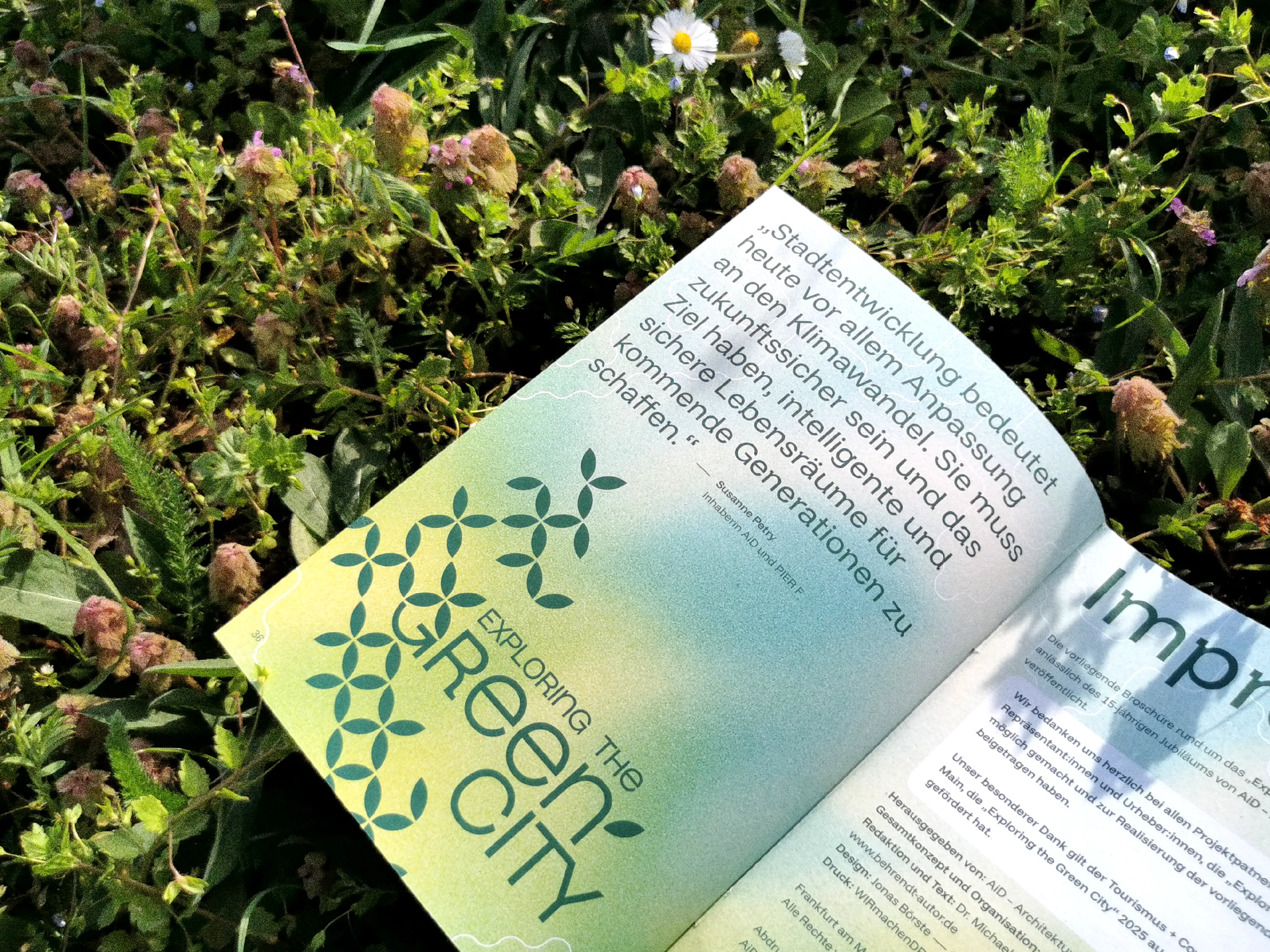 Editorial Design Festivalbroschüre mit Branding Elementen und Farbverlauf