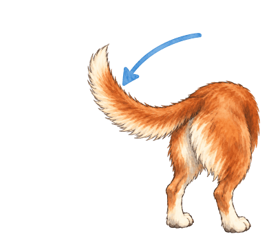 Tail spelling-choice activity for the long a sound.