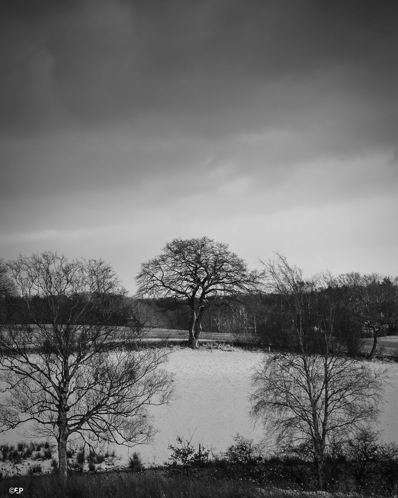 Parc André Citroen, Paris