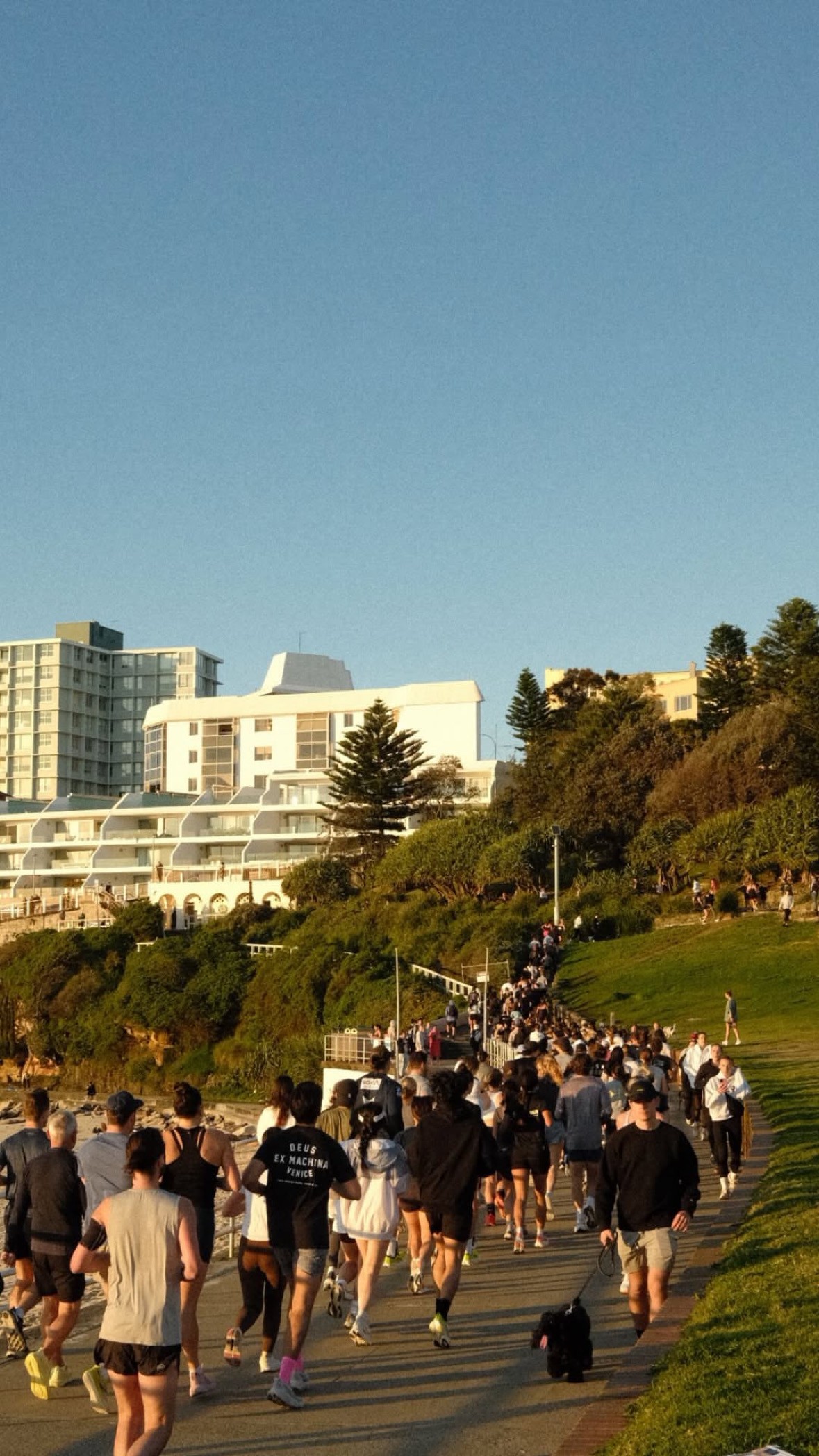 A close-up of a celebrated, geometrically-shaped modern furniture piece, defining the modern home.
