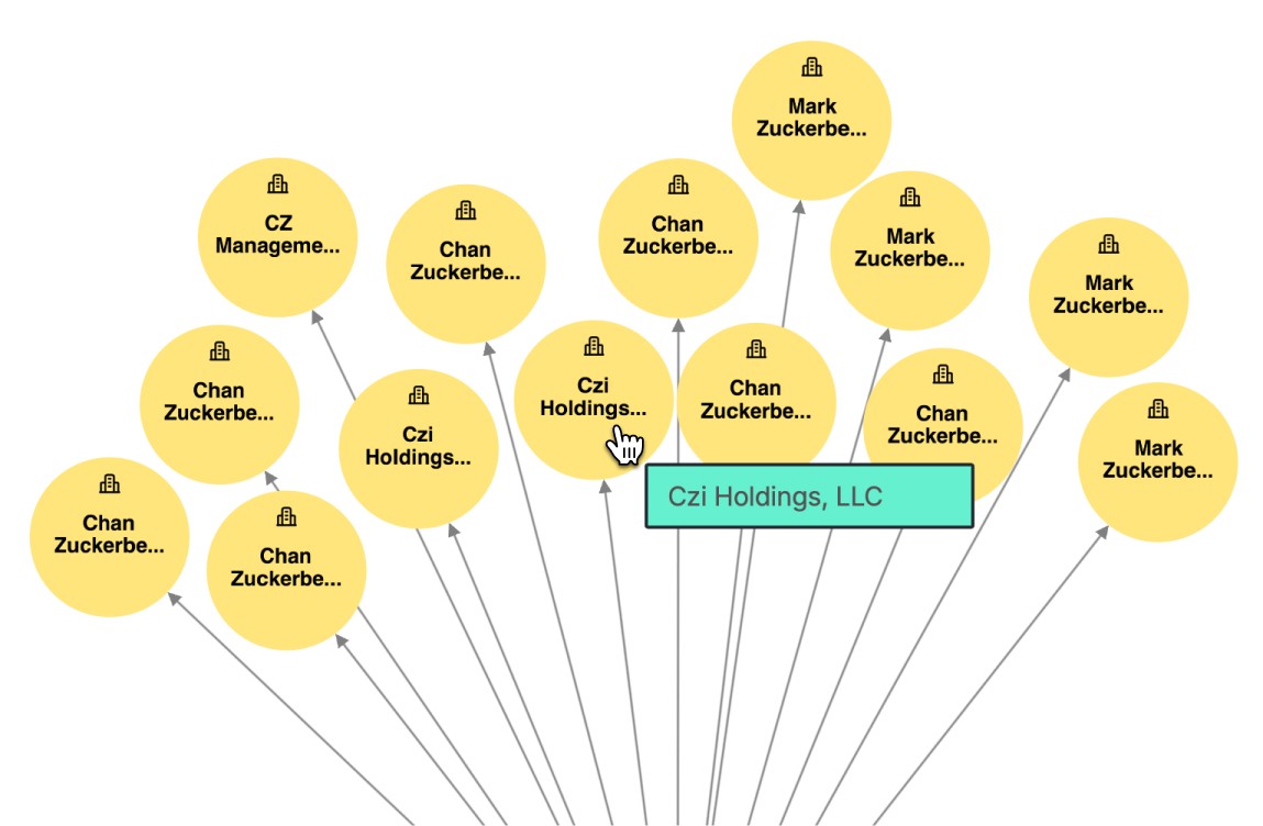 Beneficial ownership structure for Chan Zuckerberg Initiative showing holding companies and entity connections