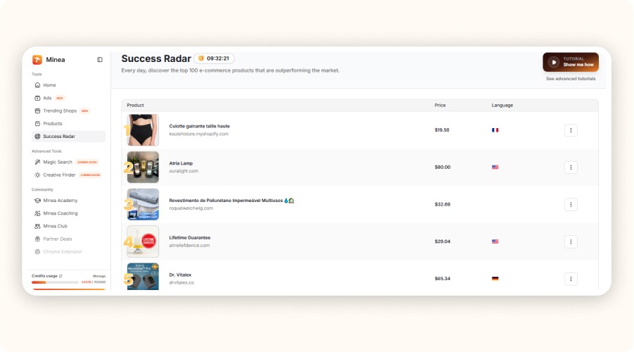 Interface Minea Success Radar listant produits ecommerce performants et tendances.