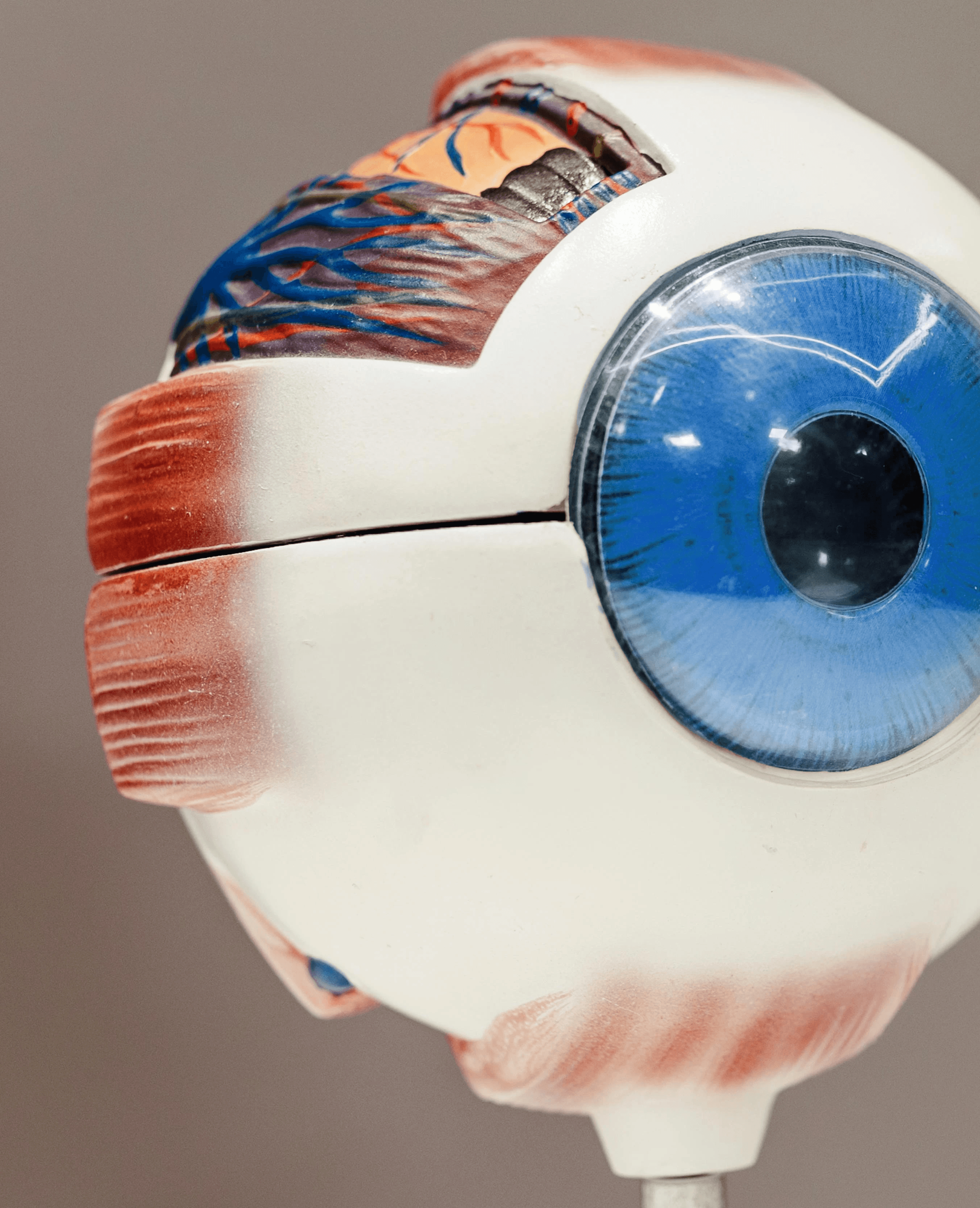 man with glasses smiling fully 