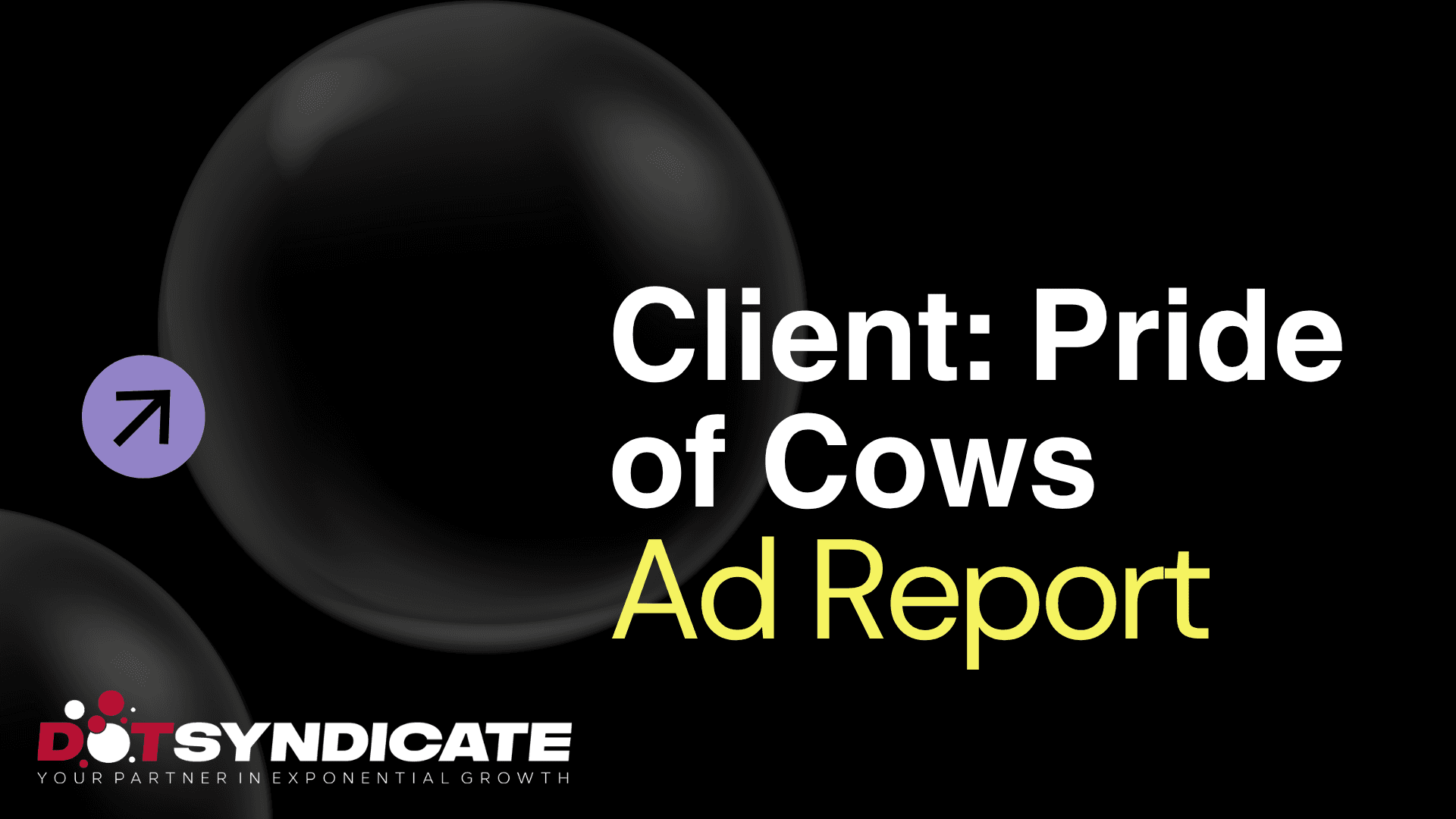 prideofcows sayedbashir