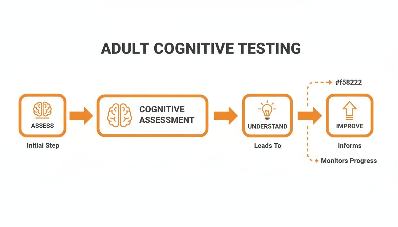 Flowchart illustrating the adult cognitive testing process from initial assessment to understanding and continuous improvement.