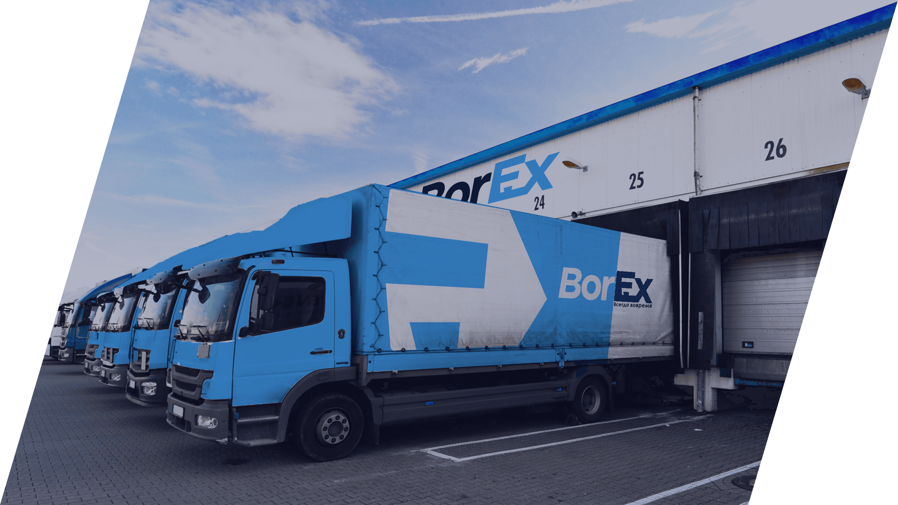 Ряд грузовиков