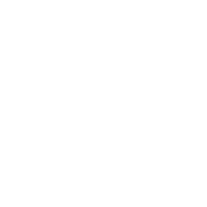 Orbit Icon 4