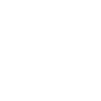 Client Icon