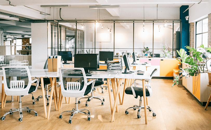 Modern Sovendus office in Vienna, Austria